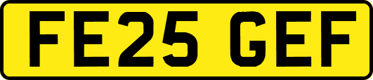 FE25GEF