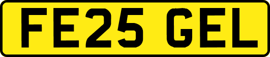 FE25GEL