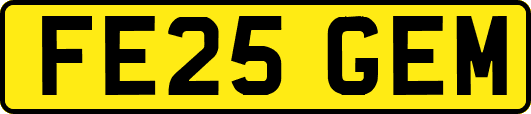 FE25GEM