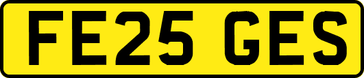 FE25GES
