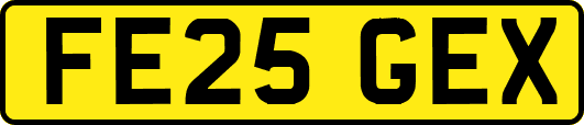 FE25GEX