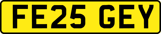FE25GEY