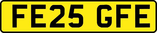 FE25GFE