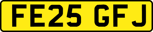 FE25GFJ