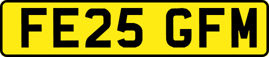 FE25GFM