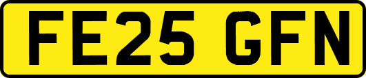 FE25GFN