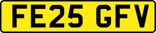 FE25GFV