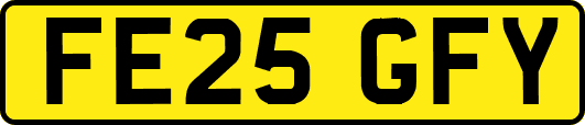 FE25GFY