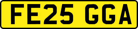 FE25GGA