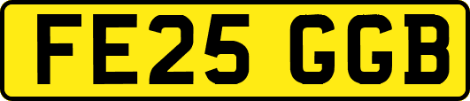 FE25GGB