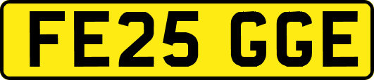 FE25GGE