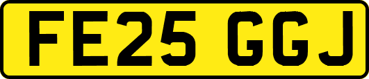FE25GGJ