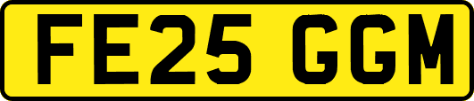 FE25GGM