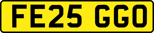FE25GGO