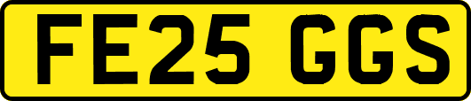 FE25GGS