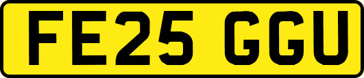 FE25GGU