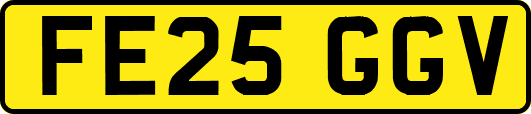 FE25GGV