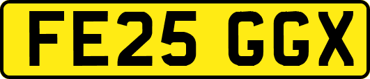 FE25GGX