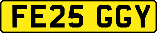 FE25GGY