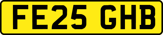 FE25GHB