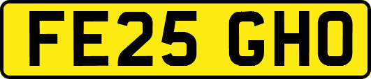 FE25GHO