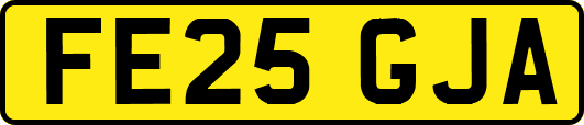 FE25GJA