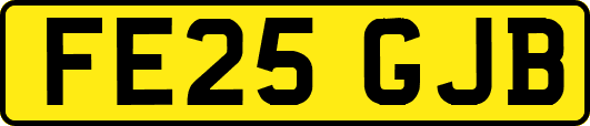 FE25GJB
