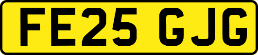 FE25GJG