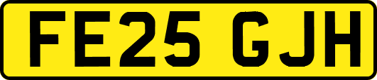 FE25GJH