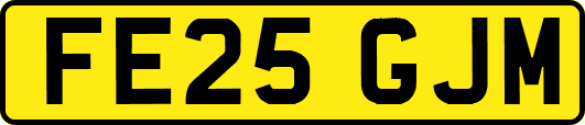 FE25GJM