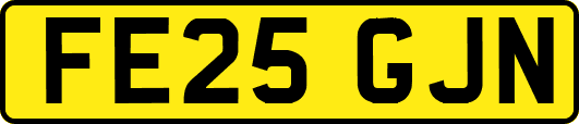FE25GJN