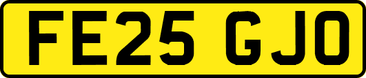 FE25GJO
