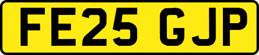 FE25GJP
