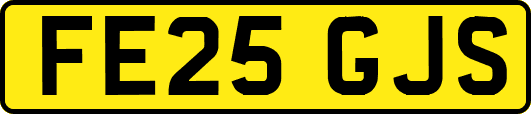 FE25GJS