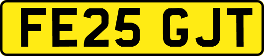 FE25GJT