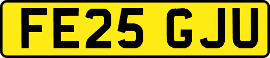 FE25GJU