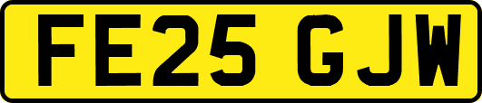 FE25GJW