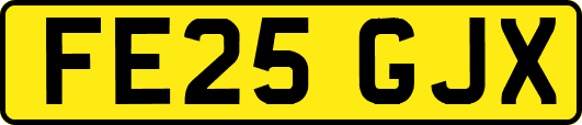 FE25GJX