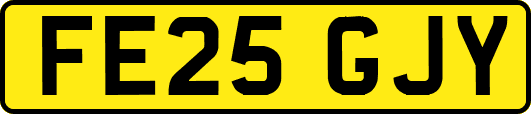 FE25GJY