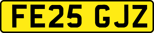 FE25GJZ