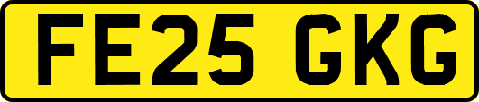 FE25GKG