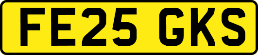 FE25GKS