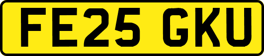 FE25GKU