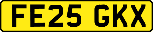 FE25GKX