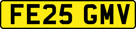 FE25GMV