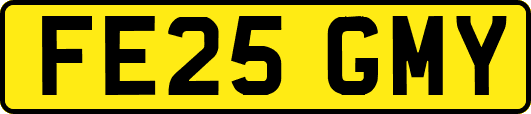 FE25GMY