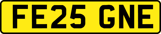 FE25GNE