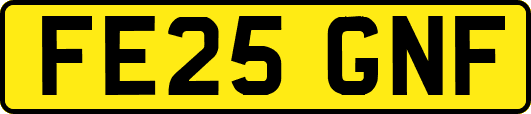 FE25GNF
