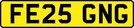 FE25GNG
