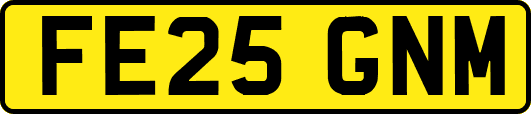 FE25GNM